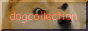dogecollection.gif  height=
