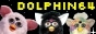 dolphin64.jpg  height=
