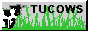 tucows1.gif  height=